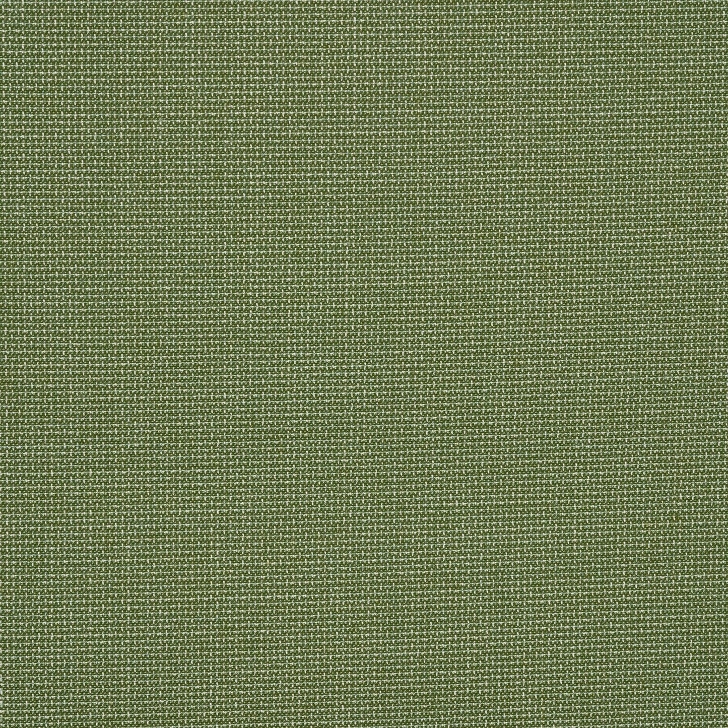 Bliss Aloe - Fabricforhome.com