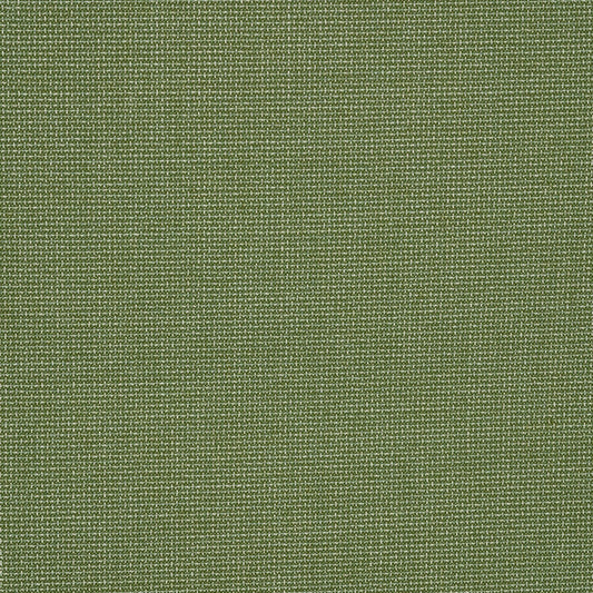 Bliss Aloe - Fabricforhome.com