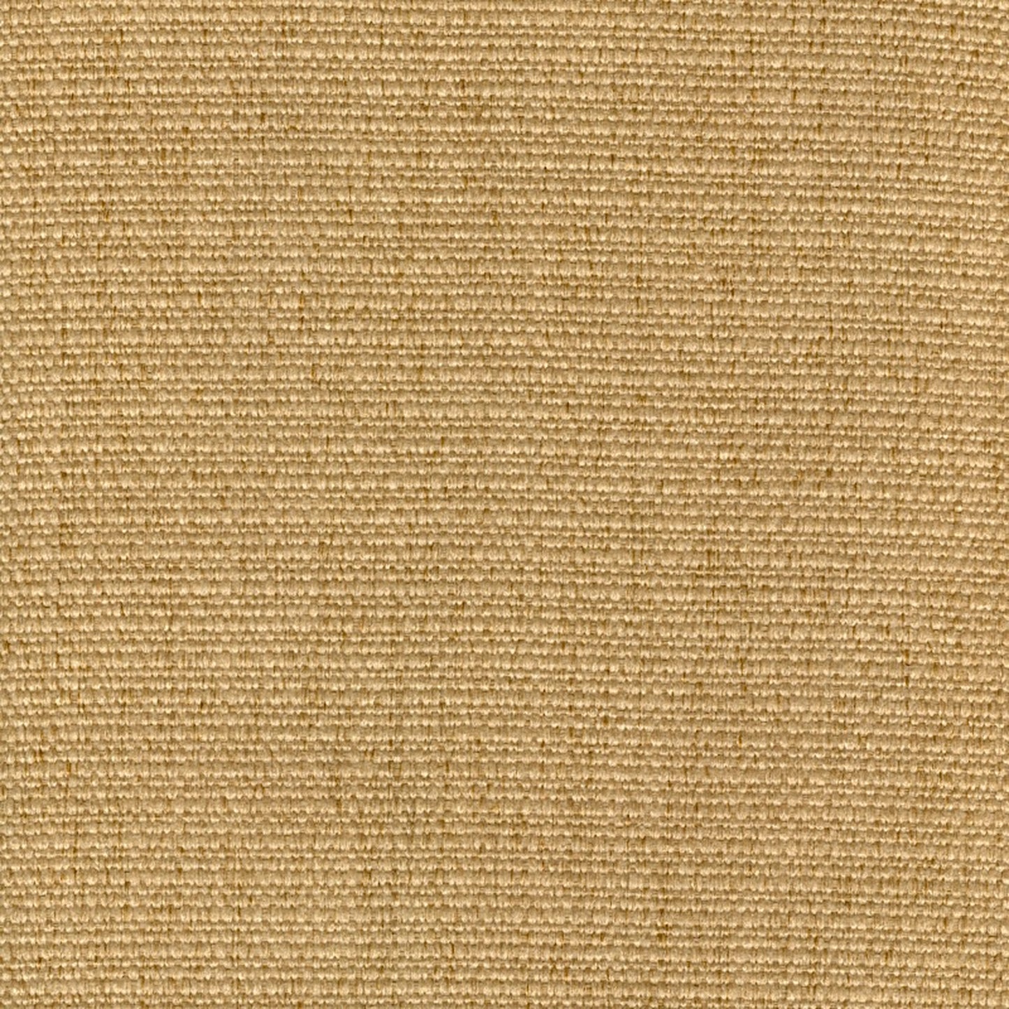 Cachay Gold - Fabricforhome.com