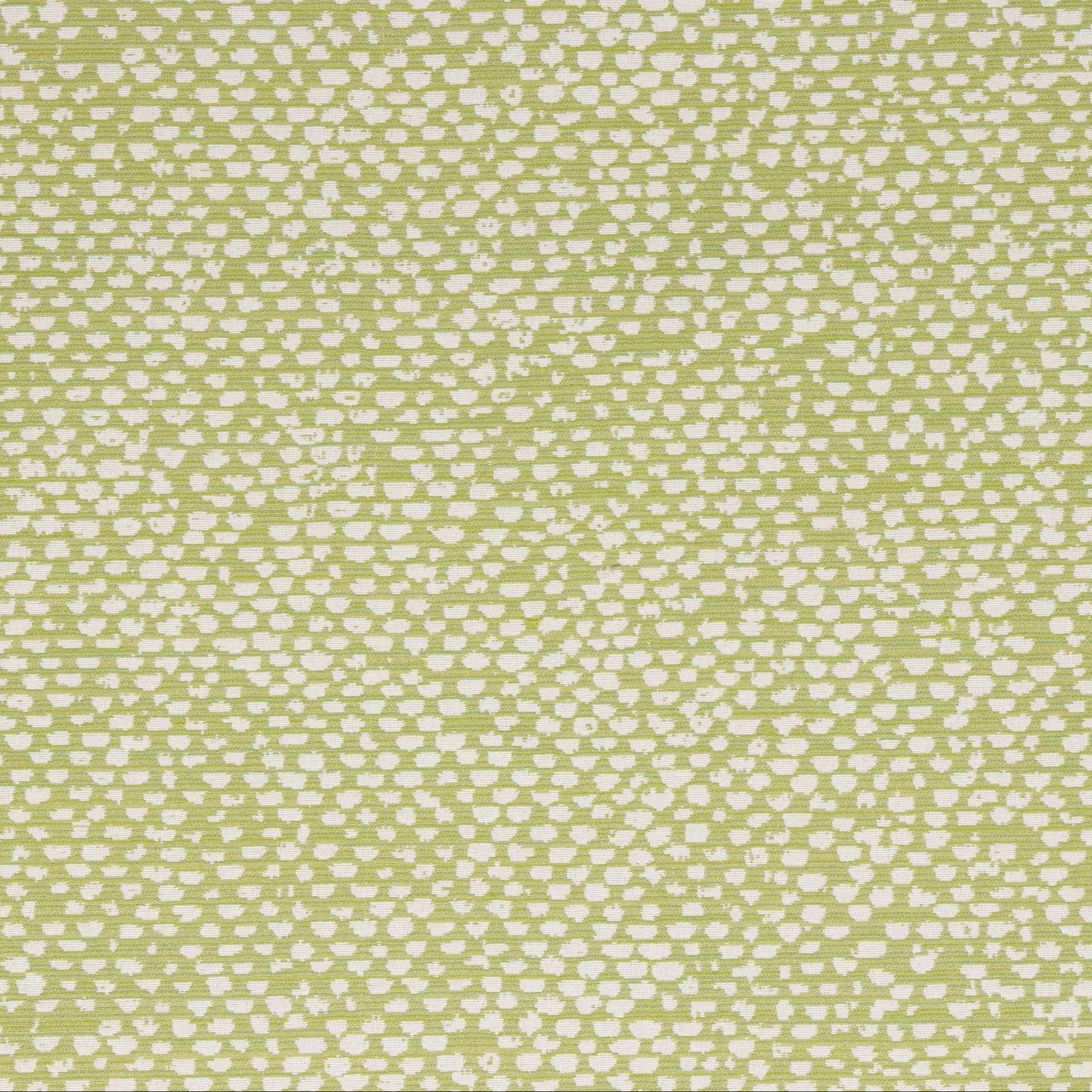 Conga Lime - Fabricforhome.com