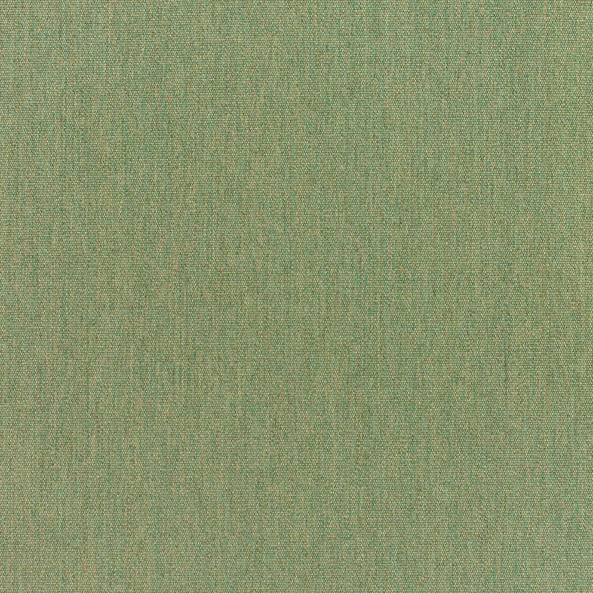 Canvas Fern - Fabricforhome.com