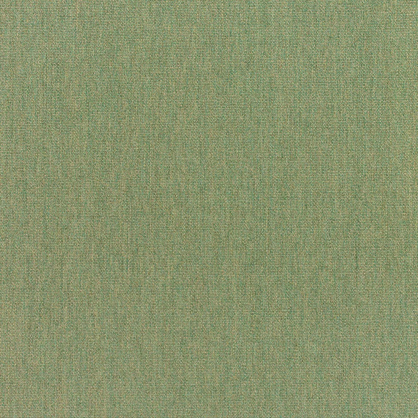 Canvas Fern - Fabricforhome.com