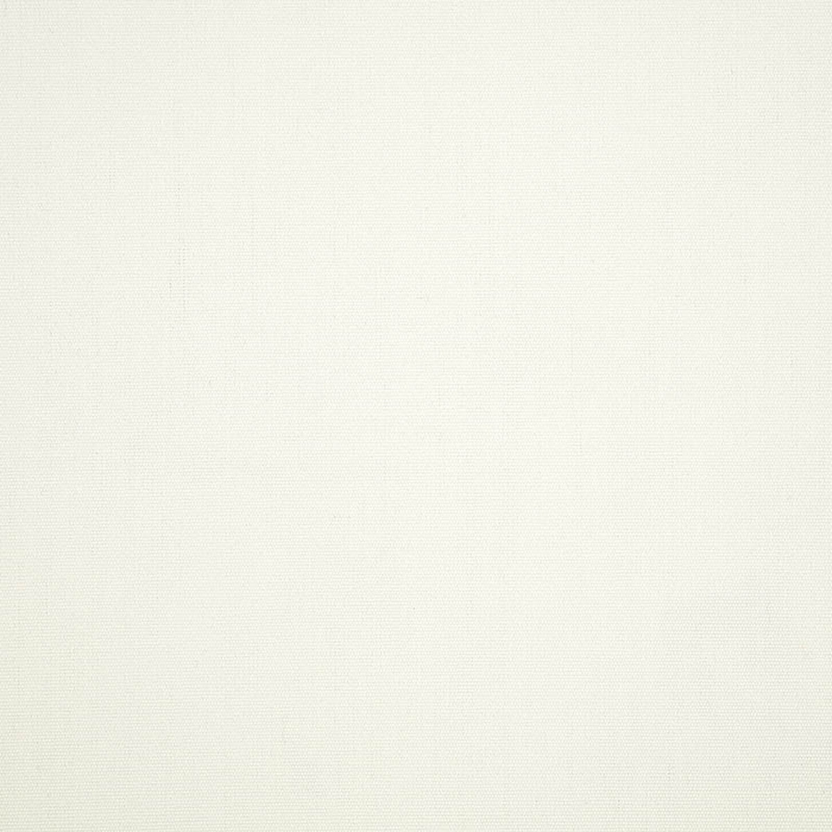 Canvas White - Fabricforhome.com