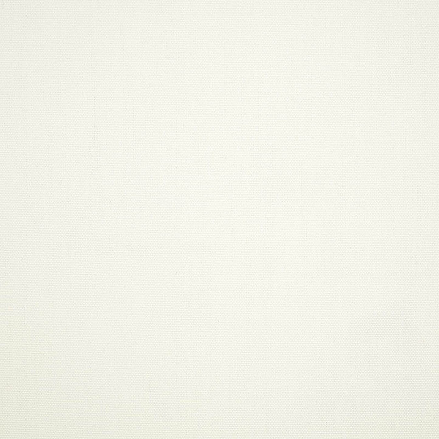 Canvas White - Fabricforhome.com