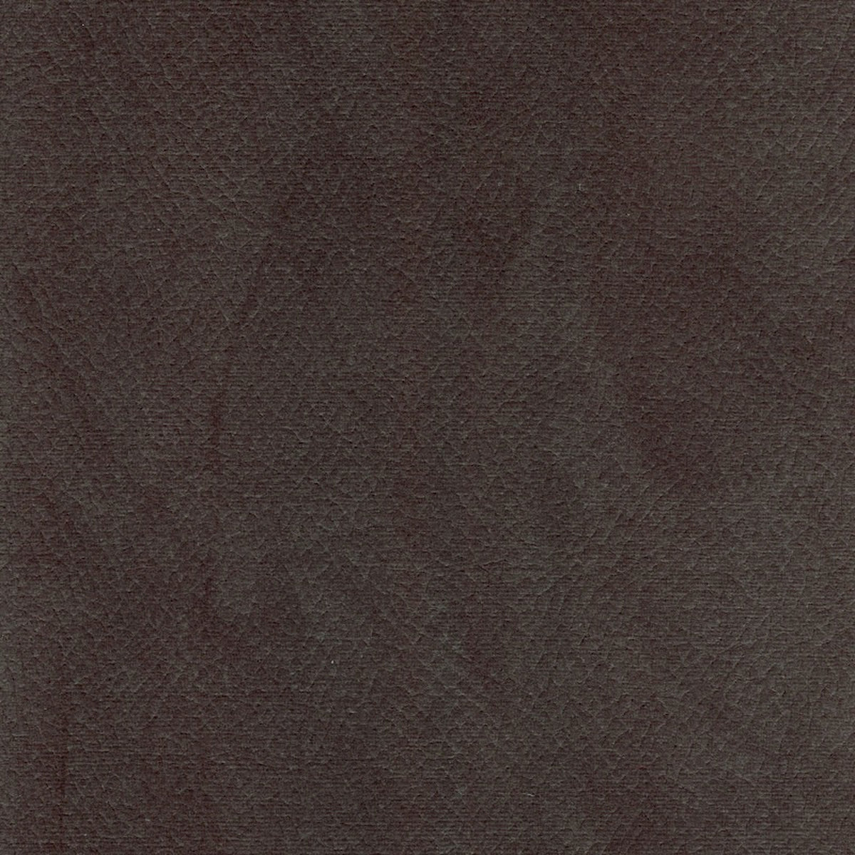 Degraw Graphite - Fabricforhome.com