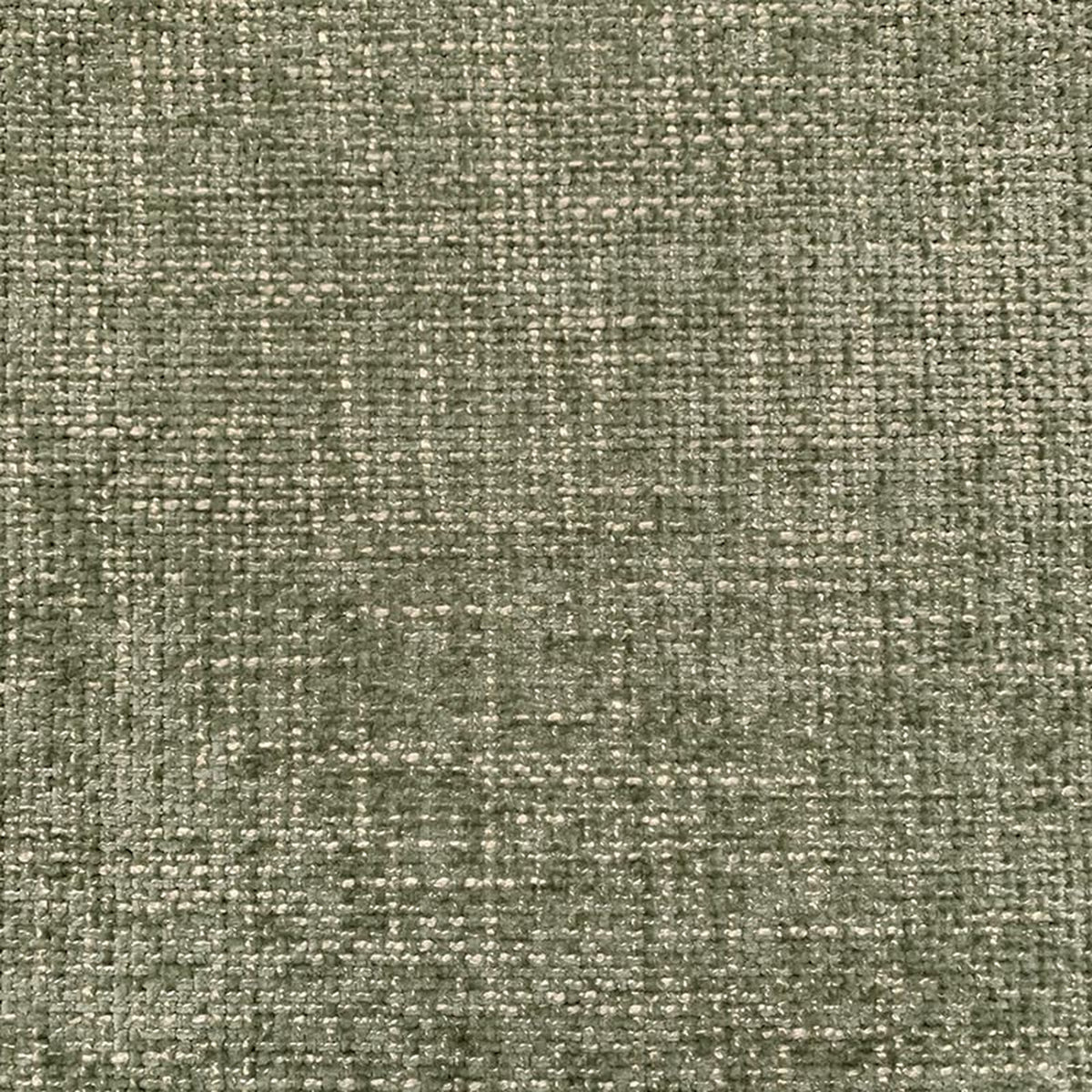 Della Eucalyptus - Fabricforhome.com