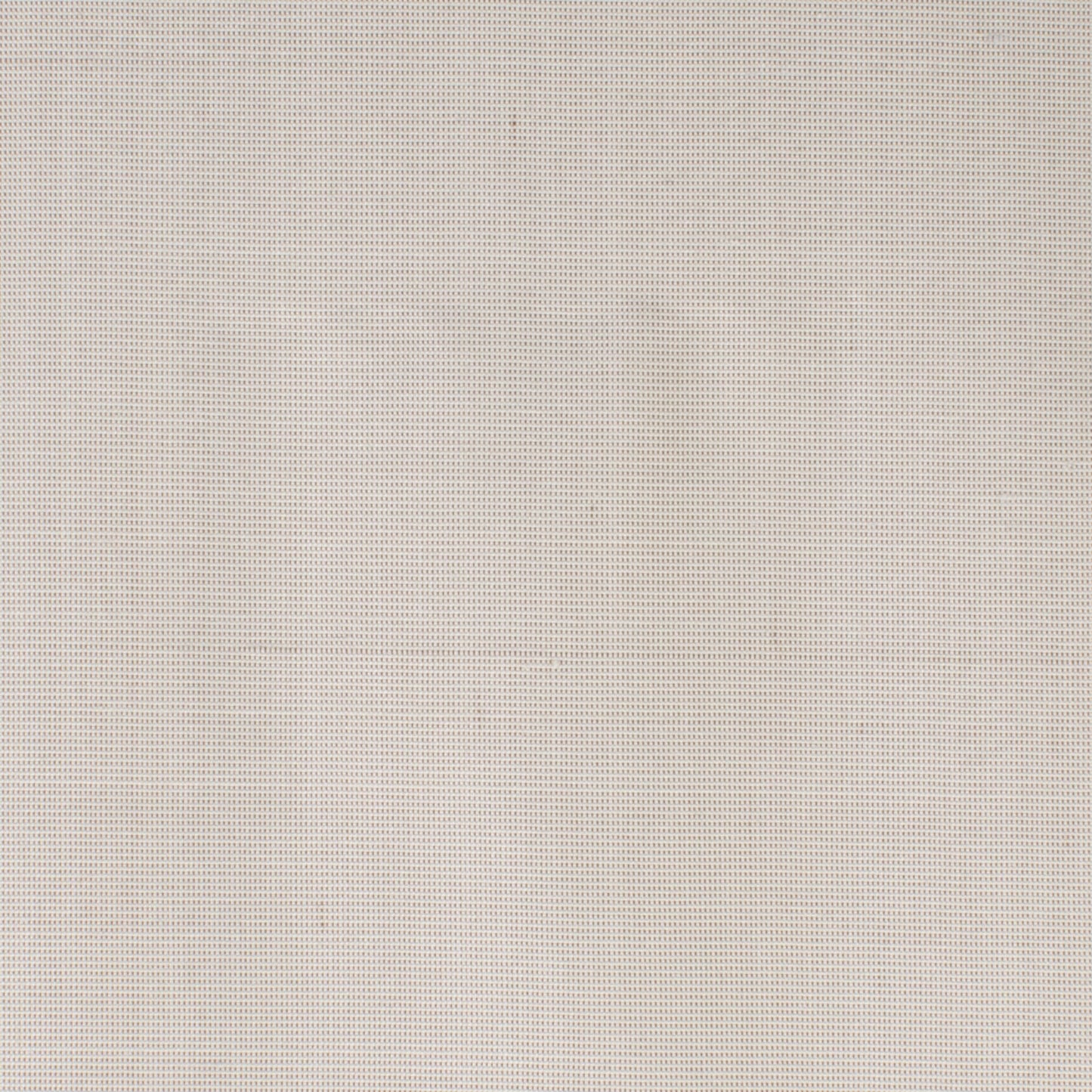 Dupioni Birch
