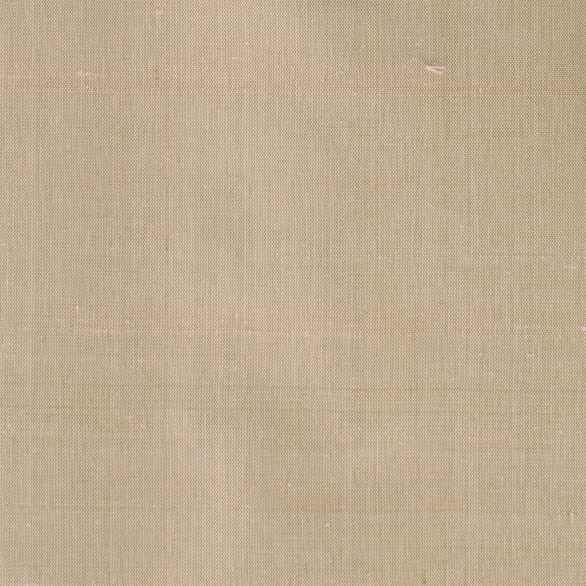 Dupioni Twig - Fabricforhome.com