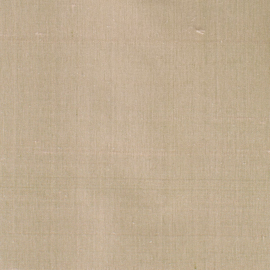 Dupioni Twig - Fabricforhome.com