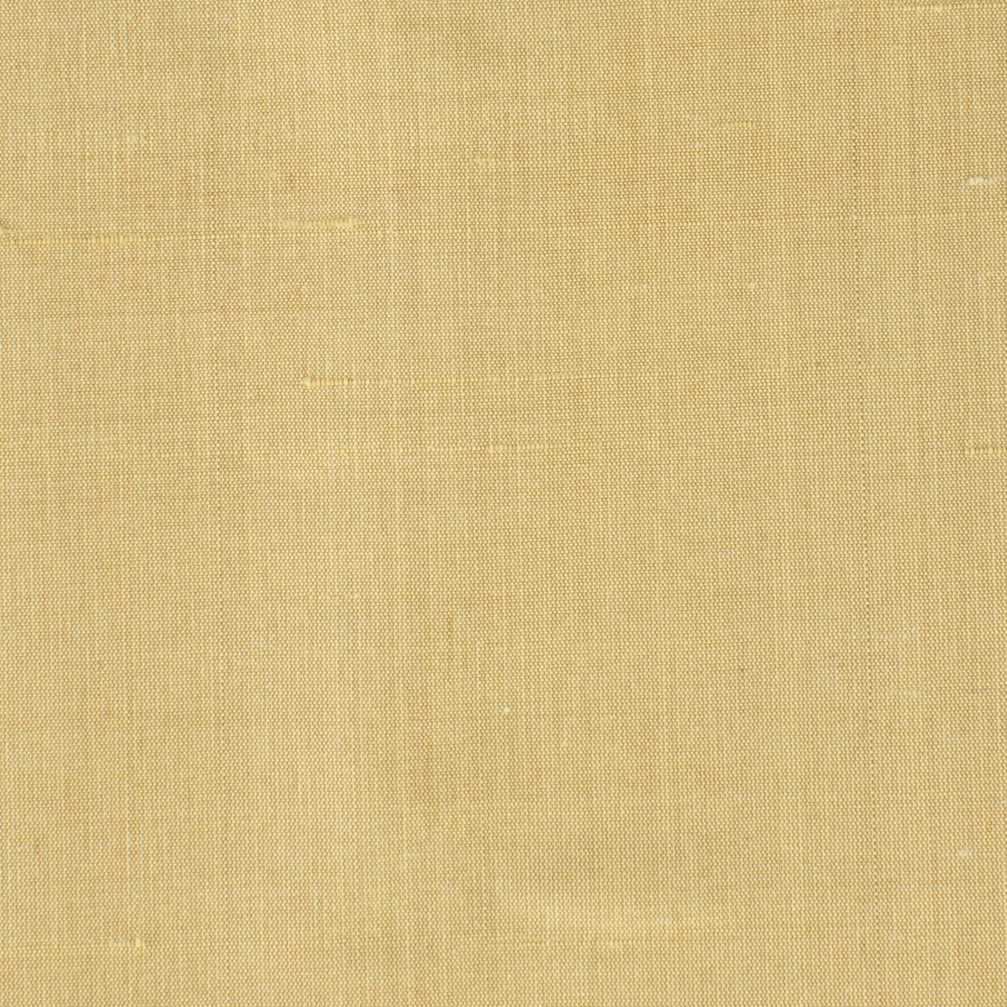 Dupioni Parchment