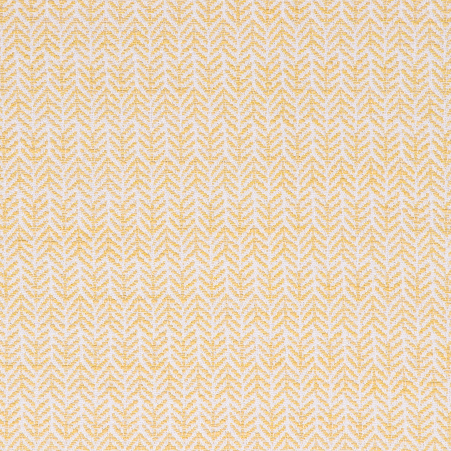 Festoon Lemon - Fabricforhome.com