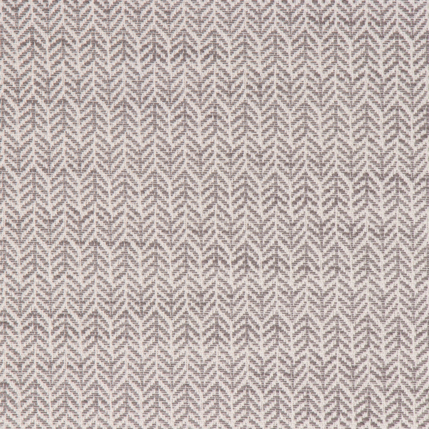 Festoon Pewter - Fabricforhome.com