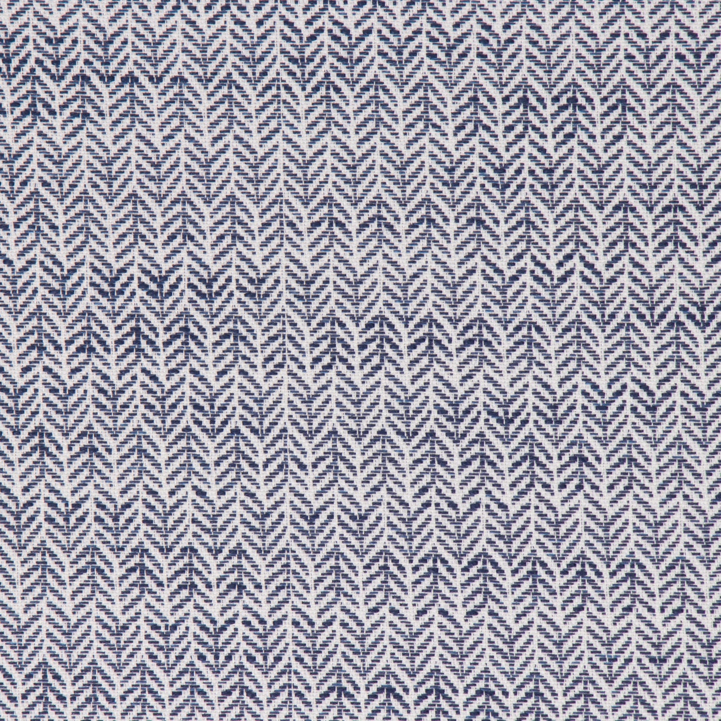 Festoon Royalty - Fabricforhome.com