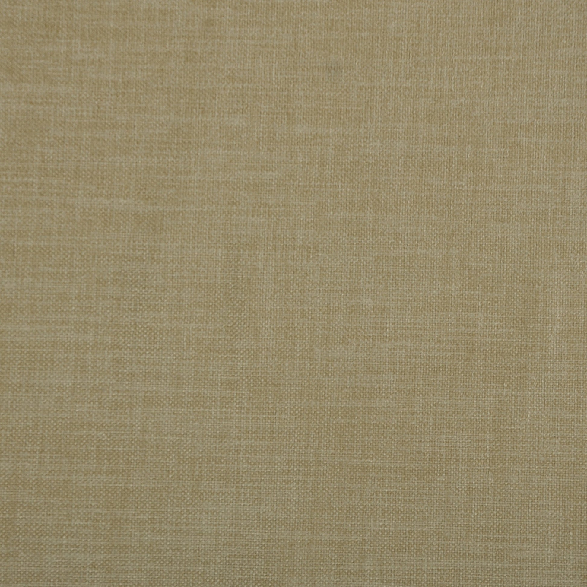 Vibrato Cashew - Fabricforhome.com