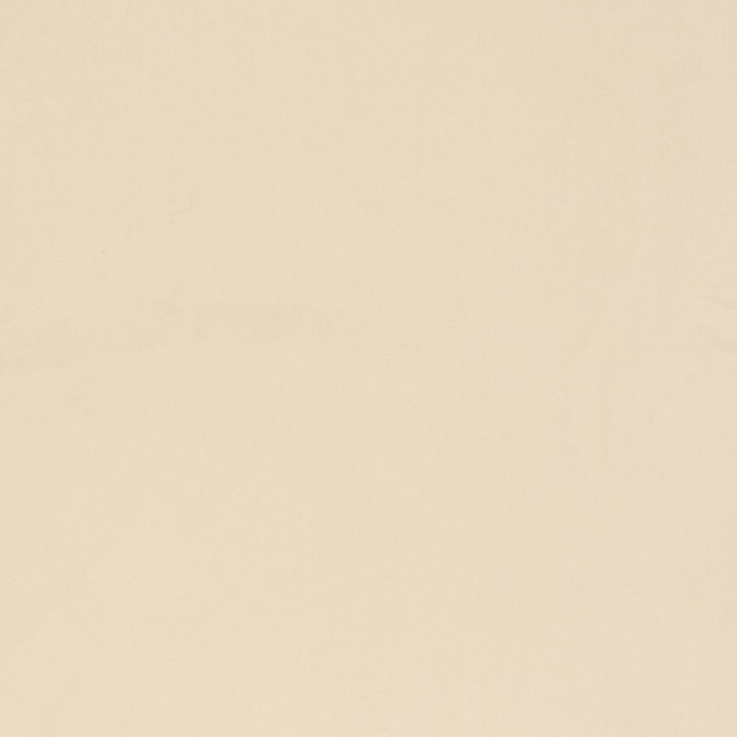 Flameout Bo Ivory White - Fabricforhome.com - Your Online Destination for Drapery and Upholstery Fabric