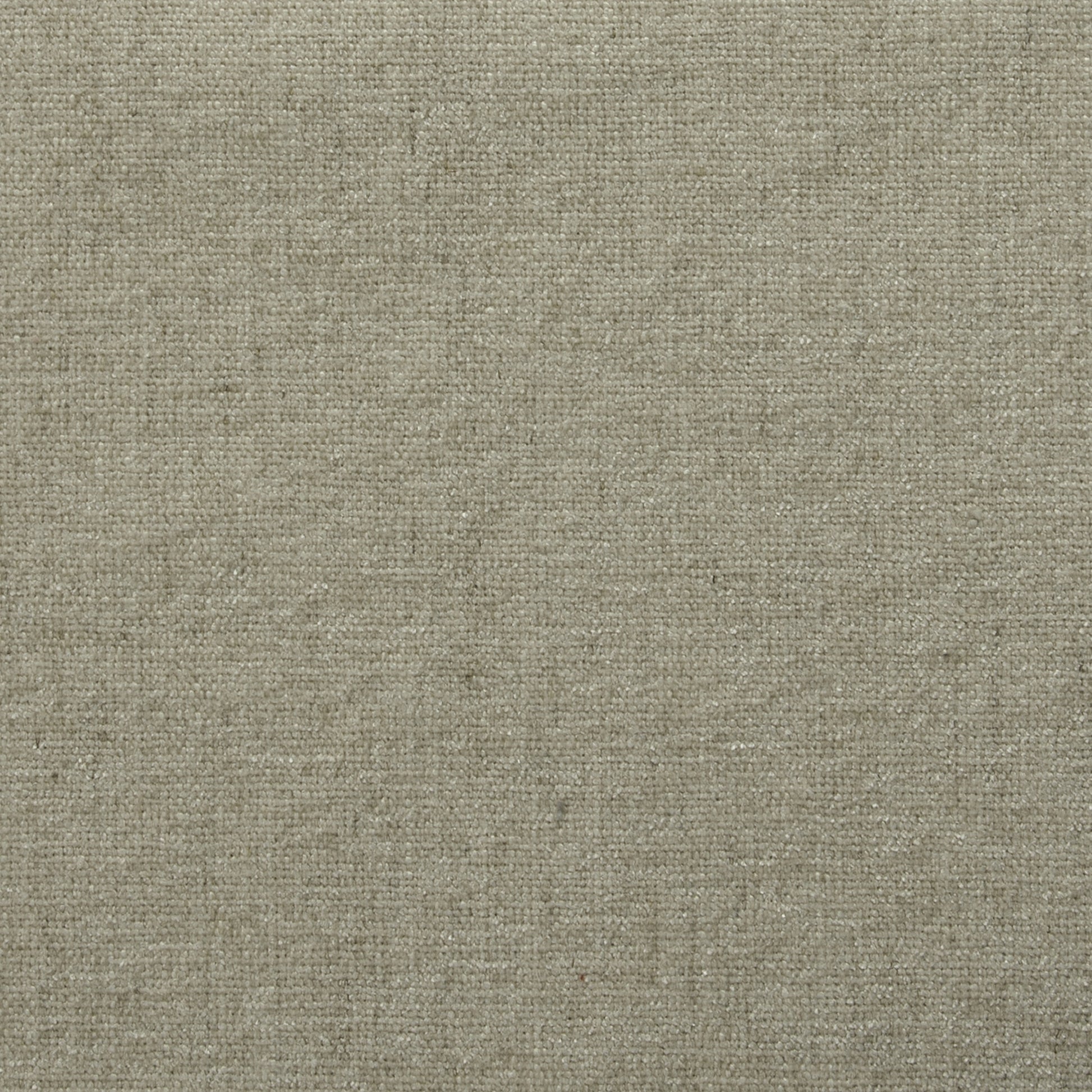 District Dove - Fabricforhome.com