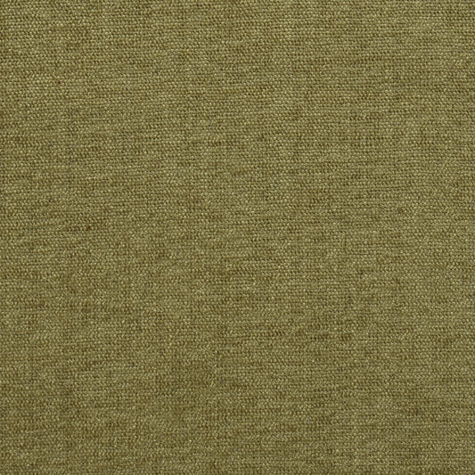 District Dandelion - Fabricforhome.com