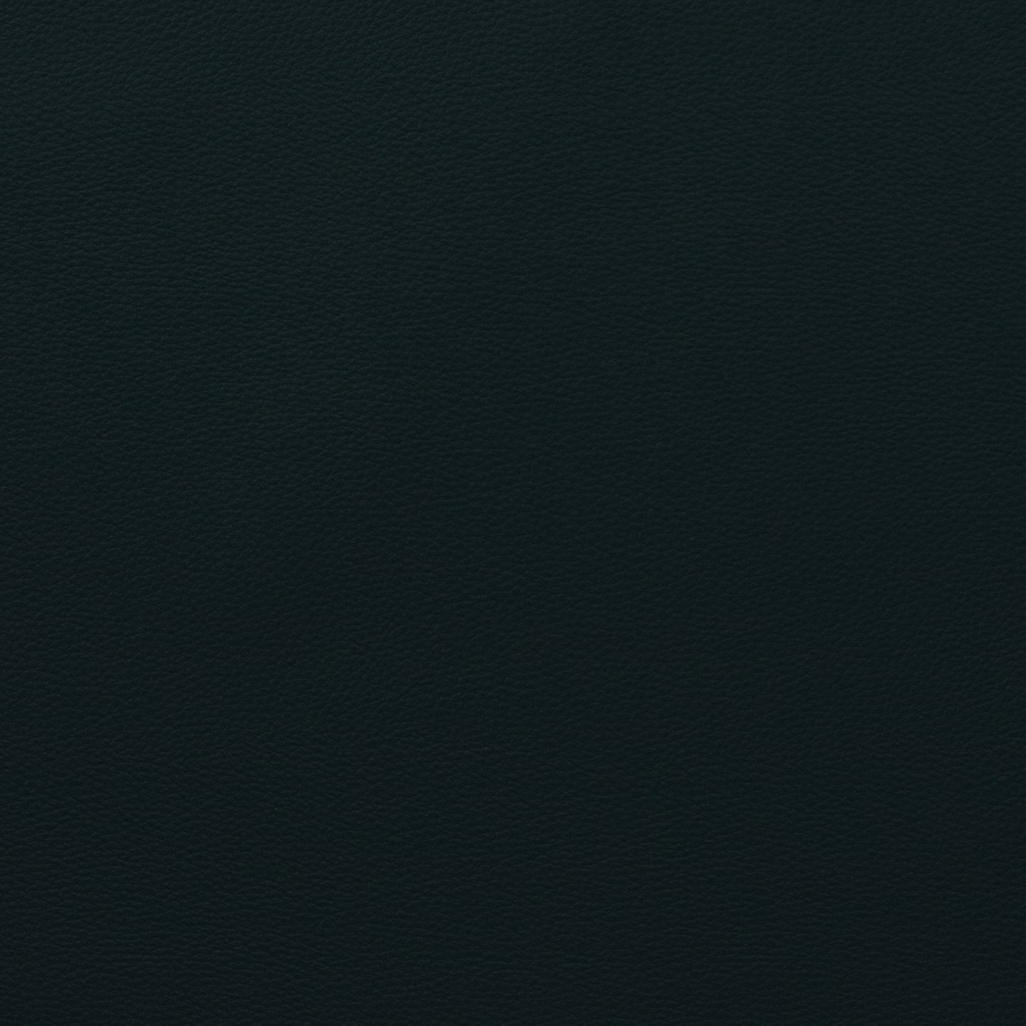 Force Navy - Fabricforhome.com