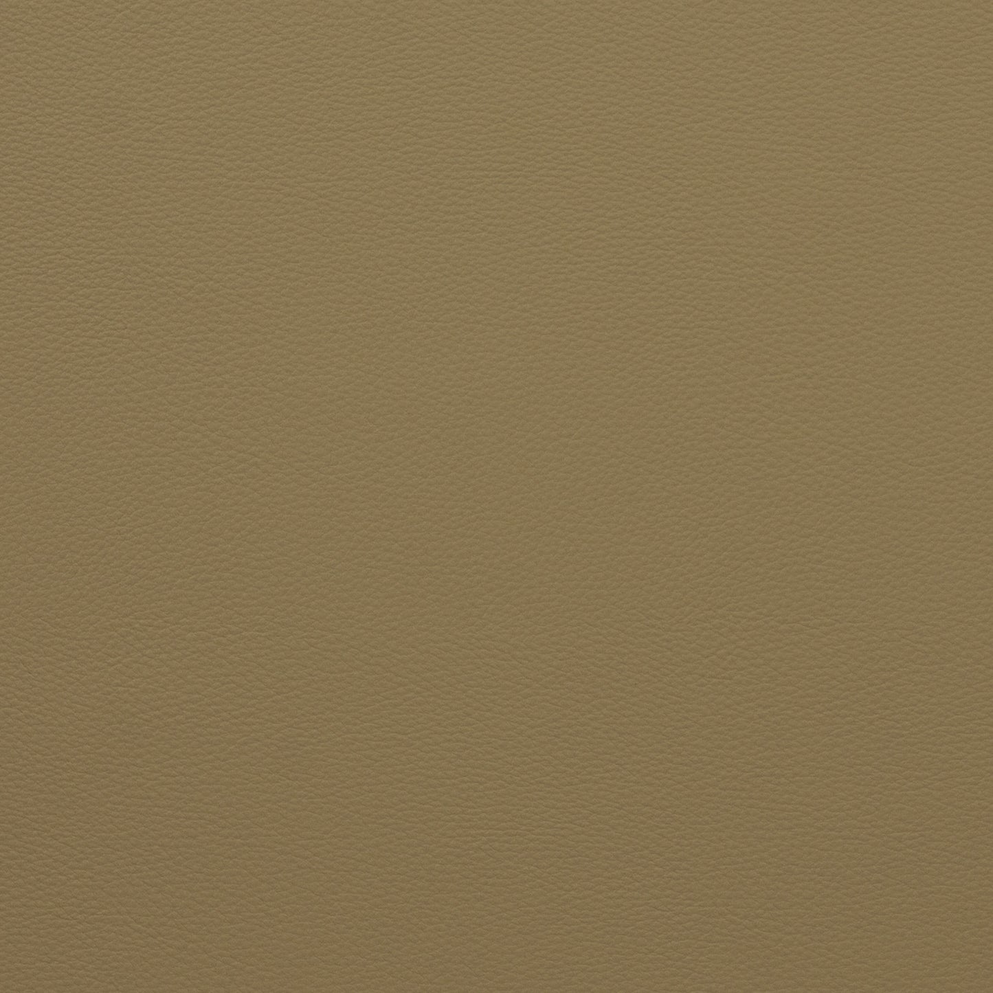 Force Latte - Fabricforhome.com