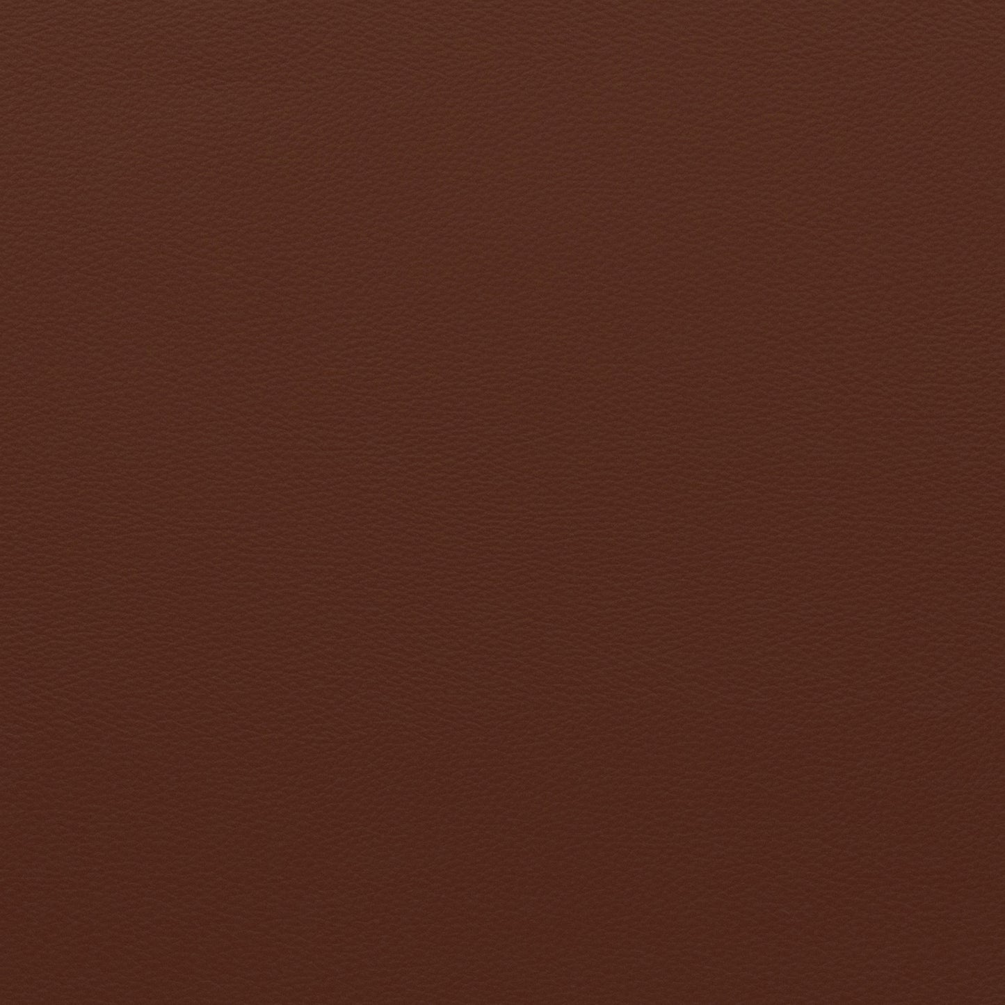 Force Rust - Fabricforhome.com