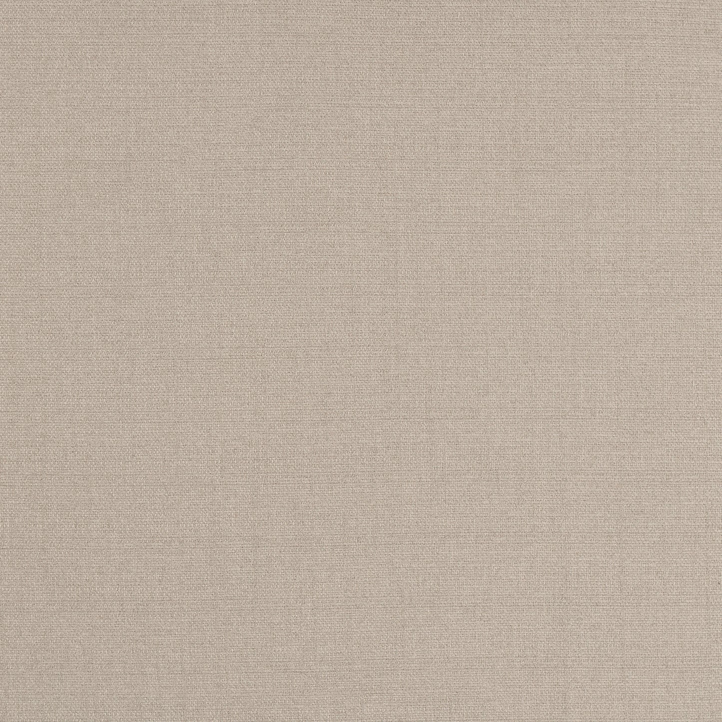 Everlasting Champagne - Fabricforhome.com