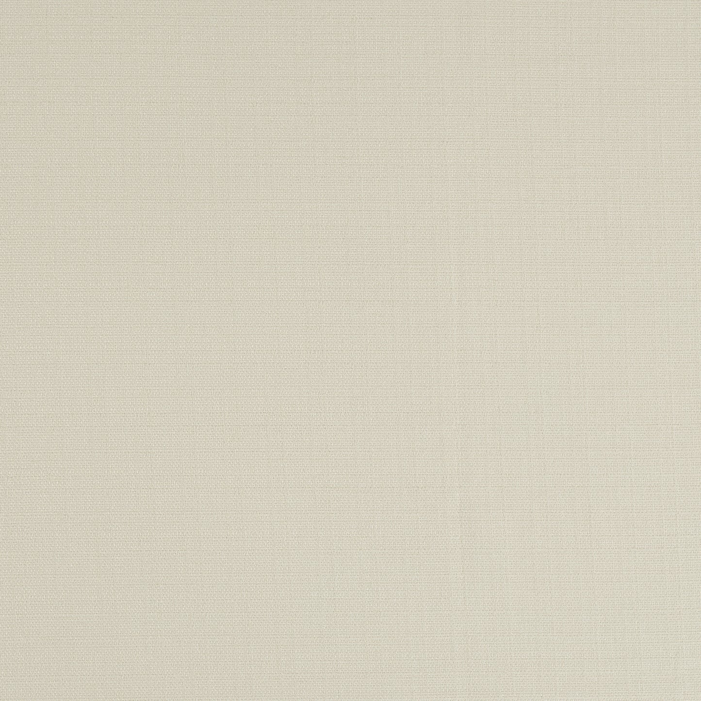 Everlasting Oyster - Fabricforhome.com