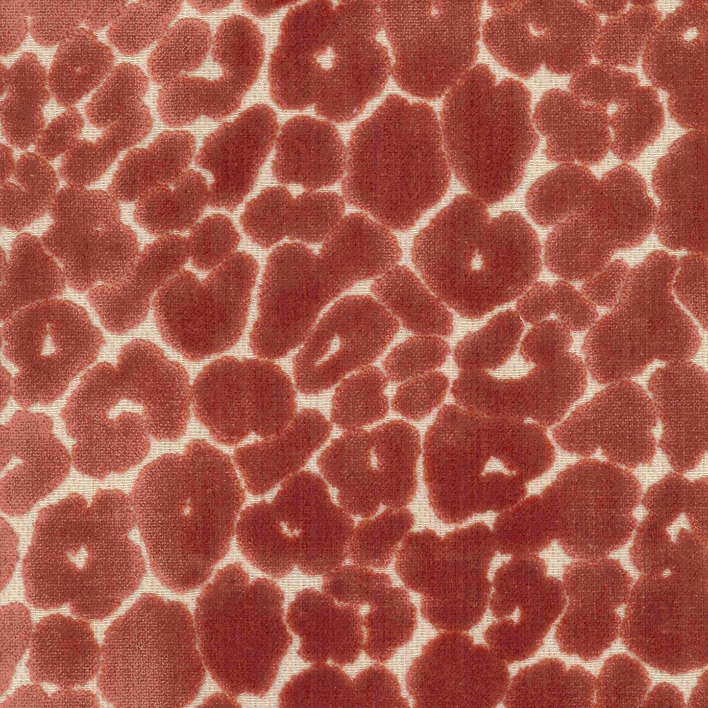 Landon Salmon - Fabricforhome.com