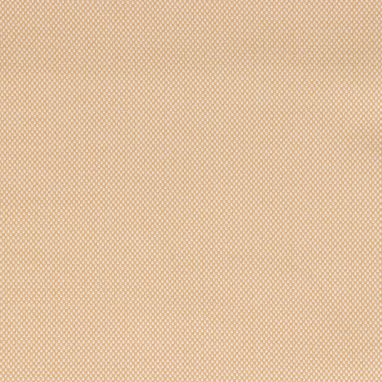 Morada Golden - Fabricforhome.com