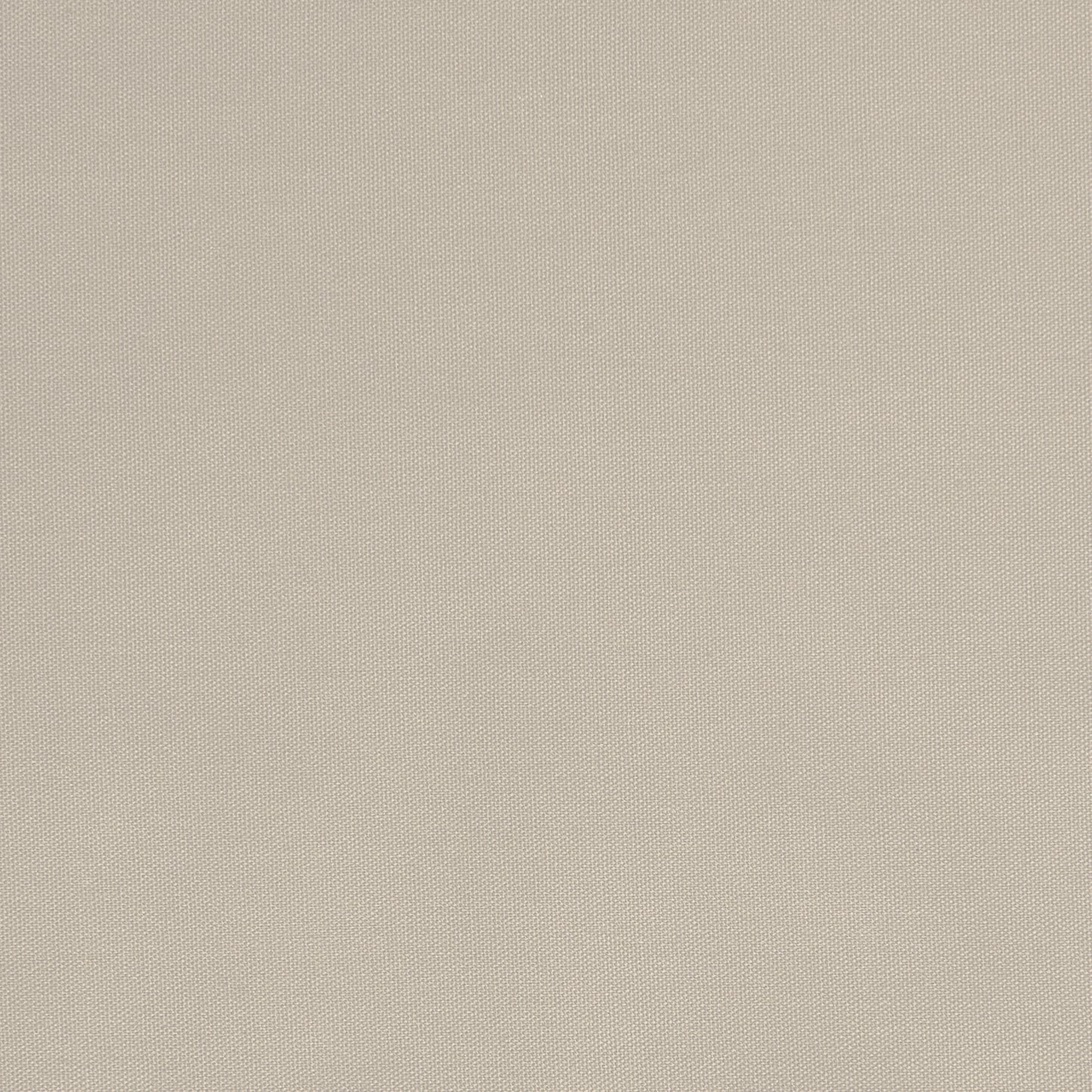 Quack Quack White - Fabricforhome.com