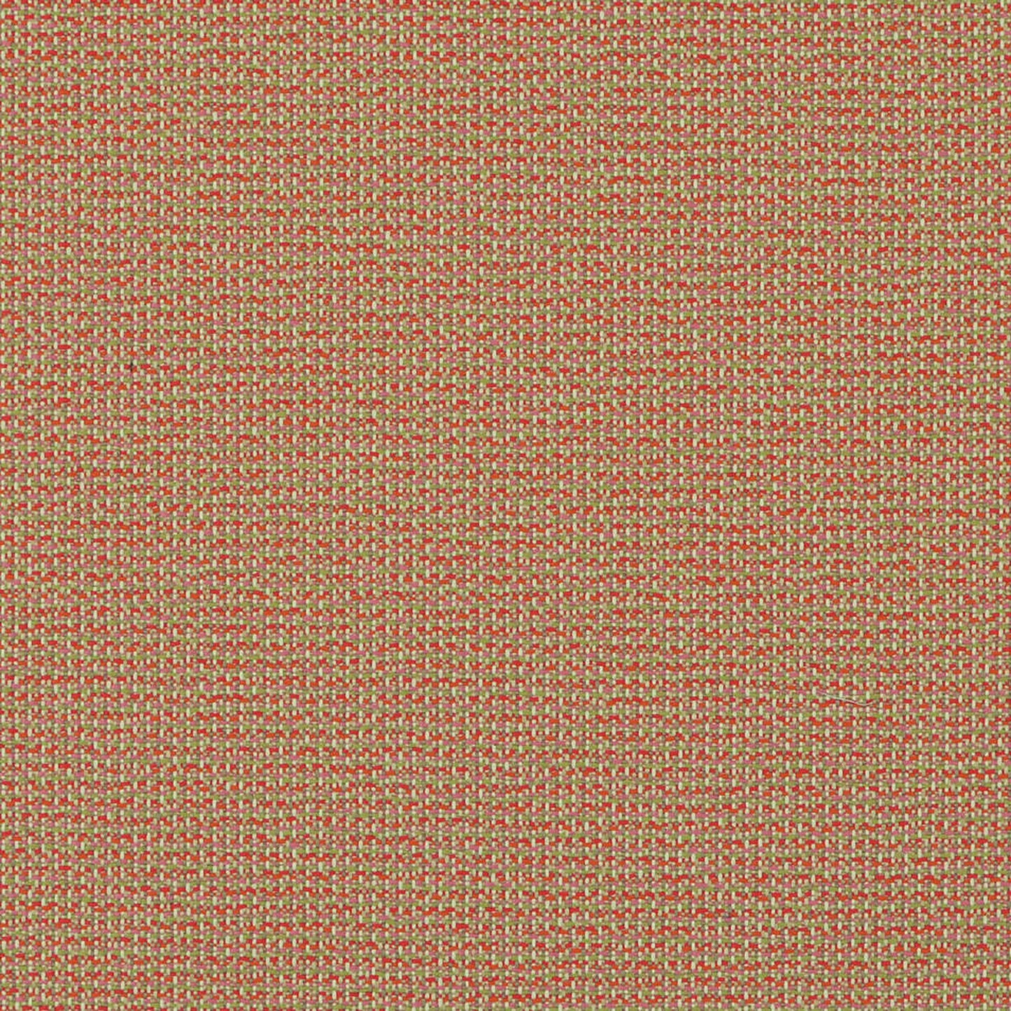 Od-Nev Azalea - Fabricforhome.com