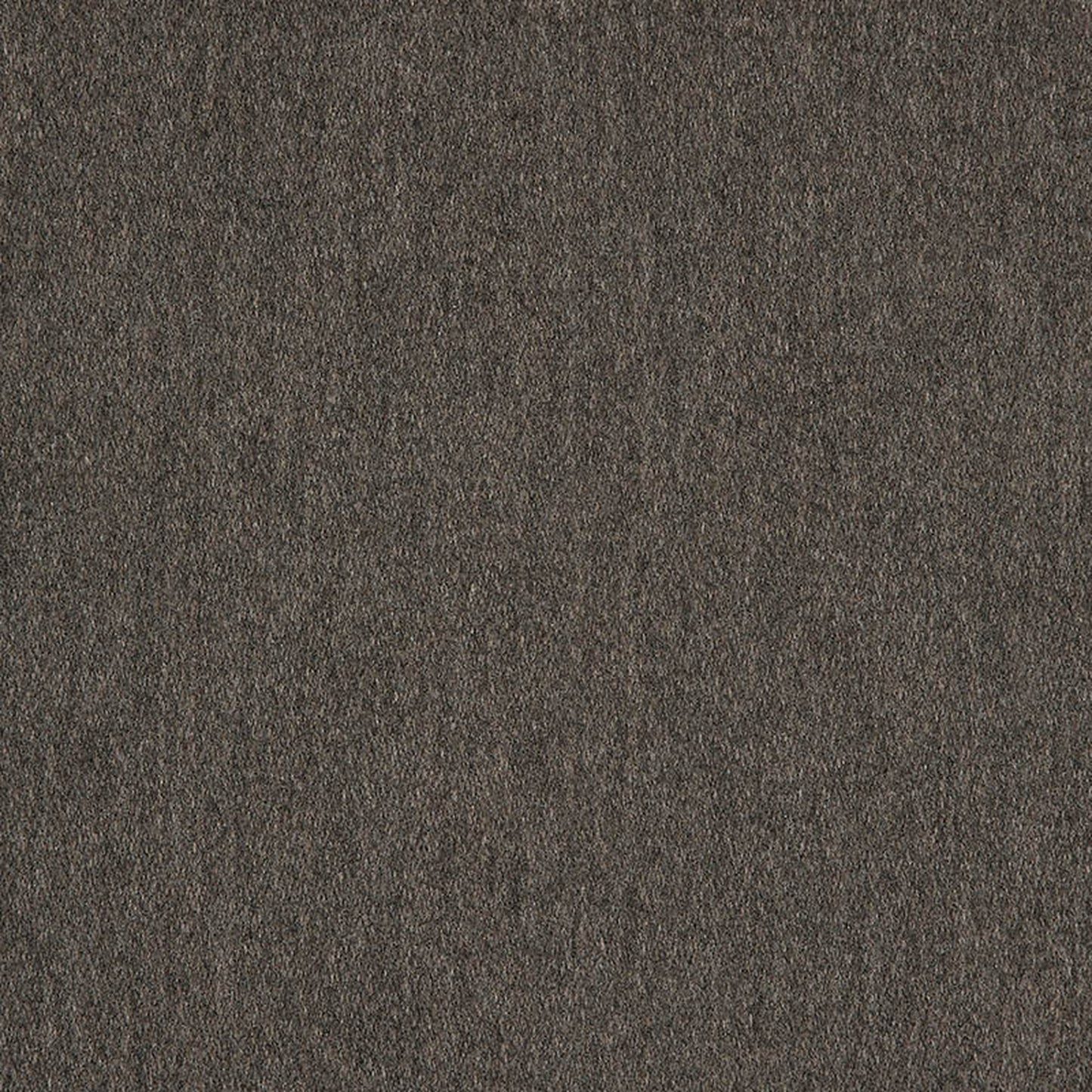 Pashmina Coal - Fabricforhome.com