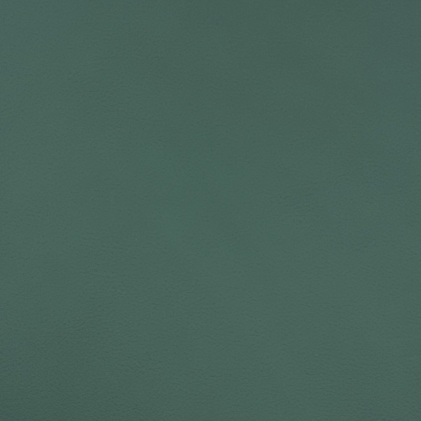 Quest Amazon - Fabricforhome.com