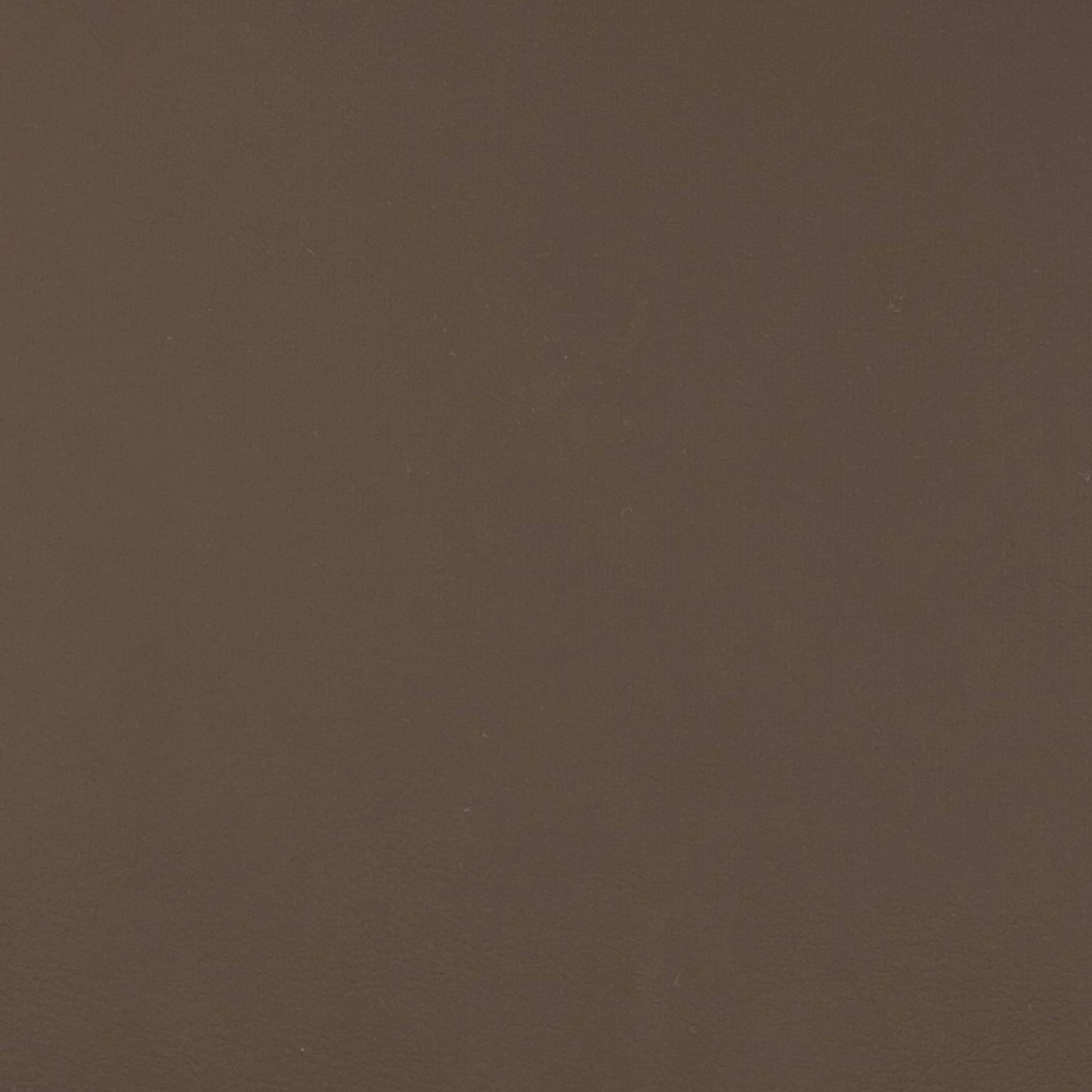 Quest Coffee - Fabricforhome.com