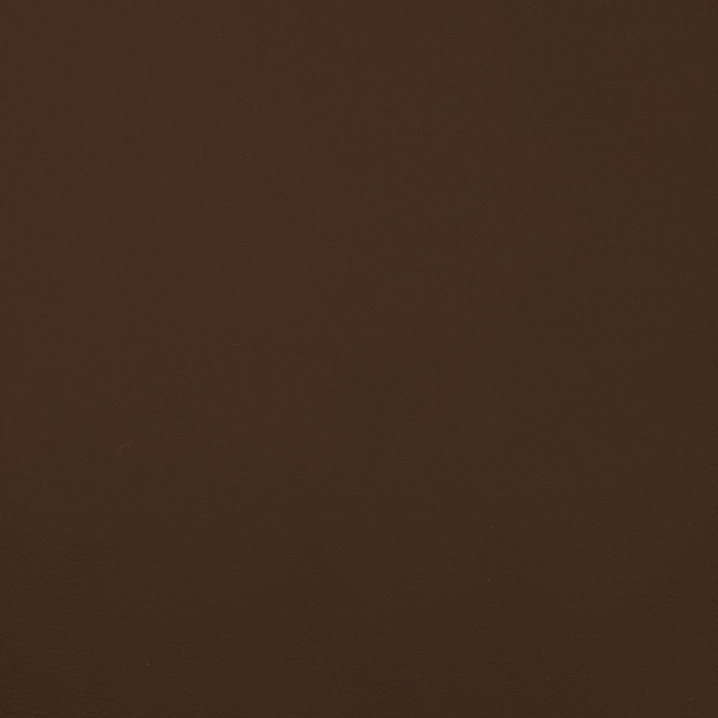 Quest Mocha