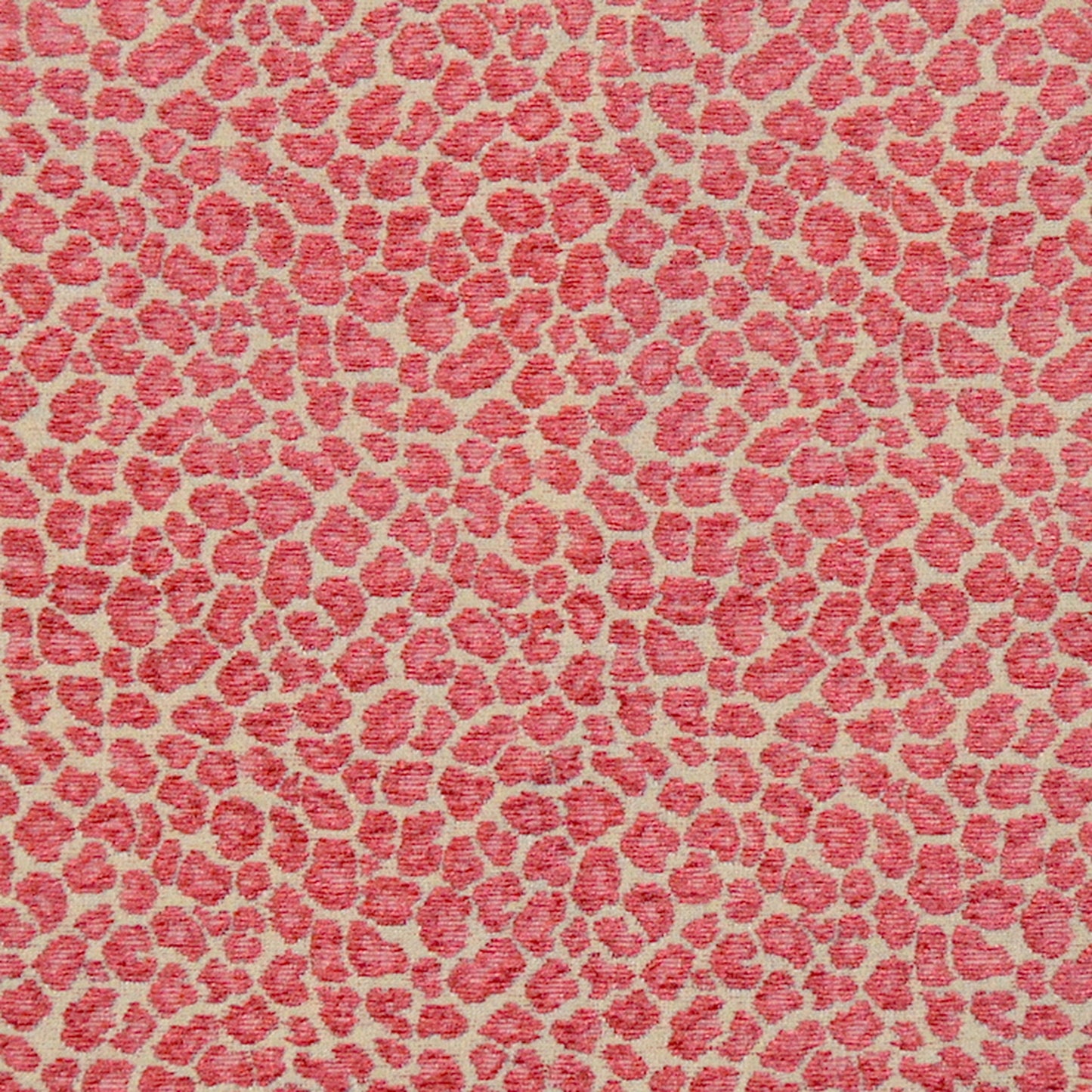 Rox Carnation - Fabricforhome.com