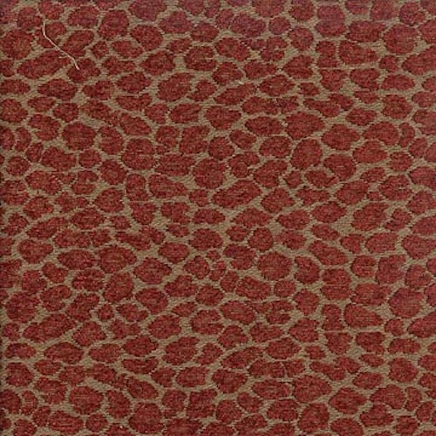 Rox Red - Fabricforhome.com