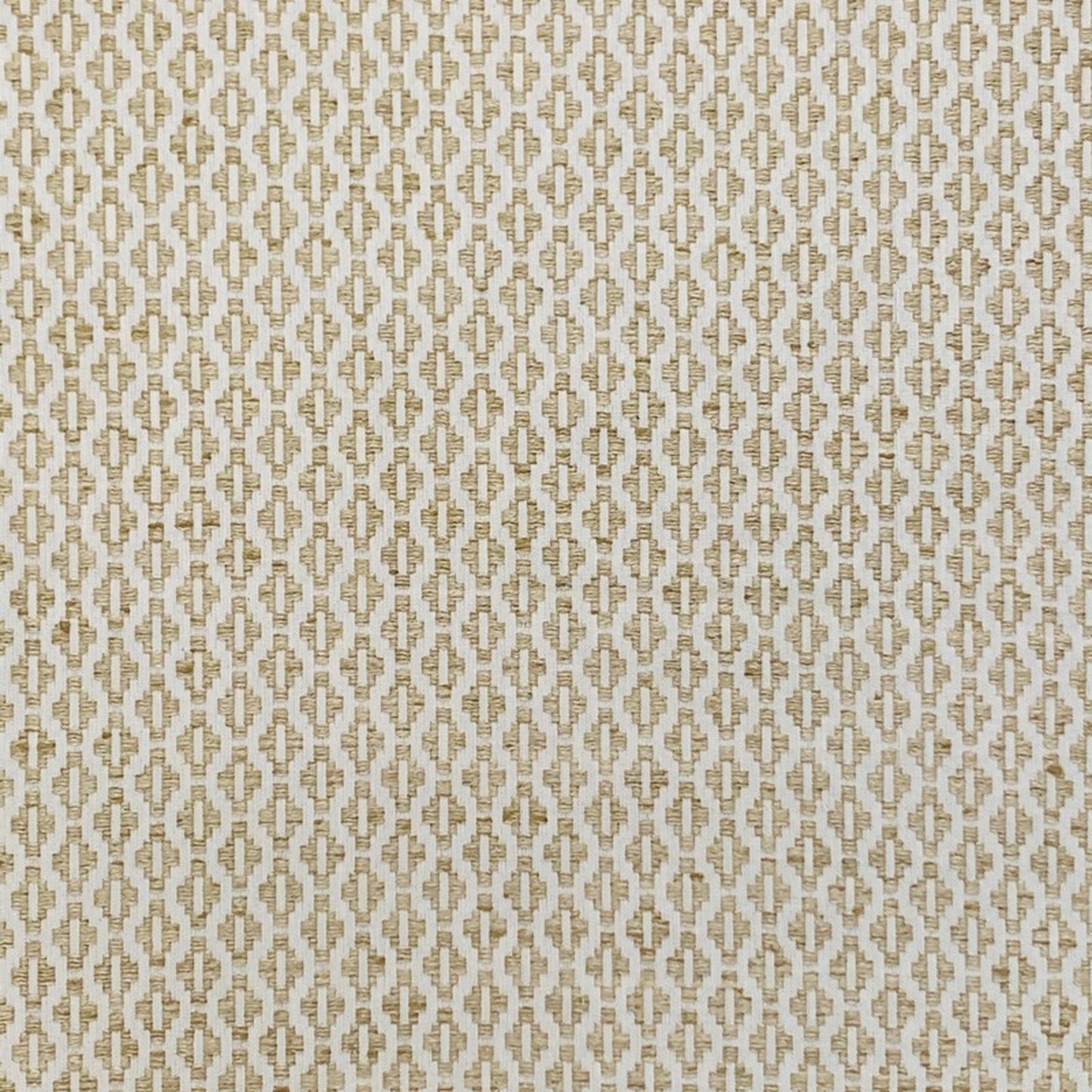 Shiva Dune - Fabricforhome.com