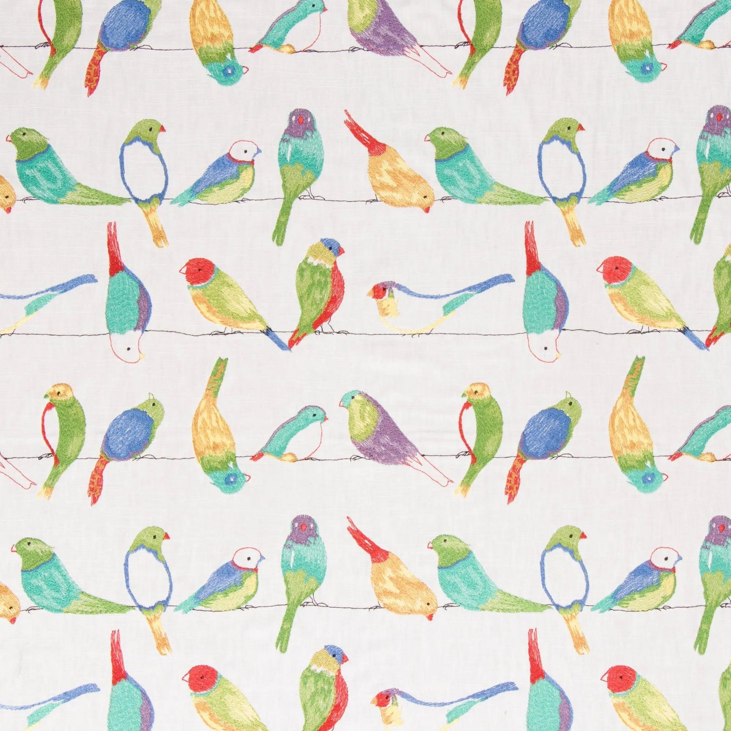 Flying Colors Jubilee