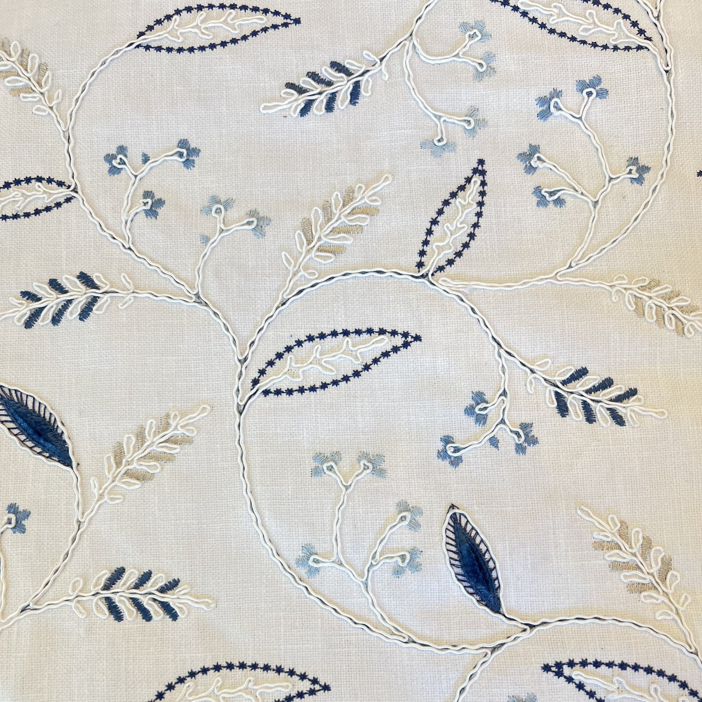 Prize Winner Blue Jay