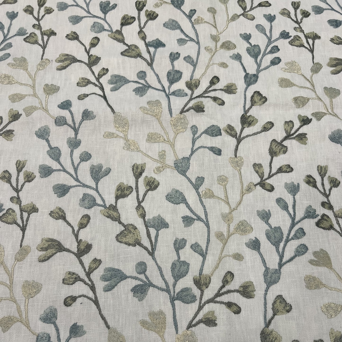 Tree Hugger Evergreen