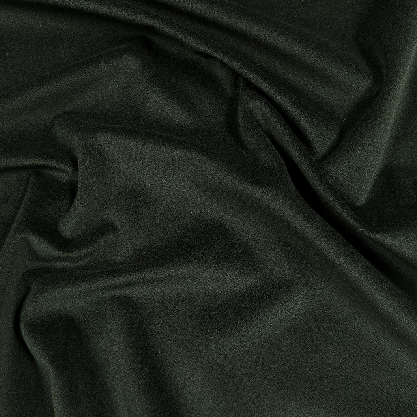 Vasto Forest - Fabricforhome.com