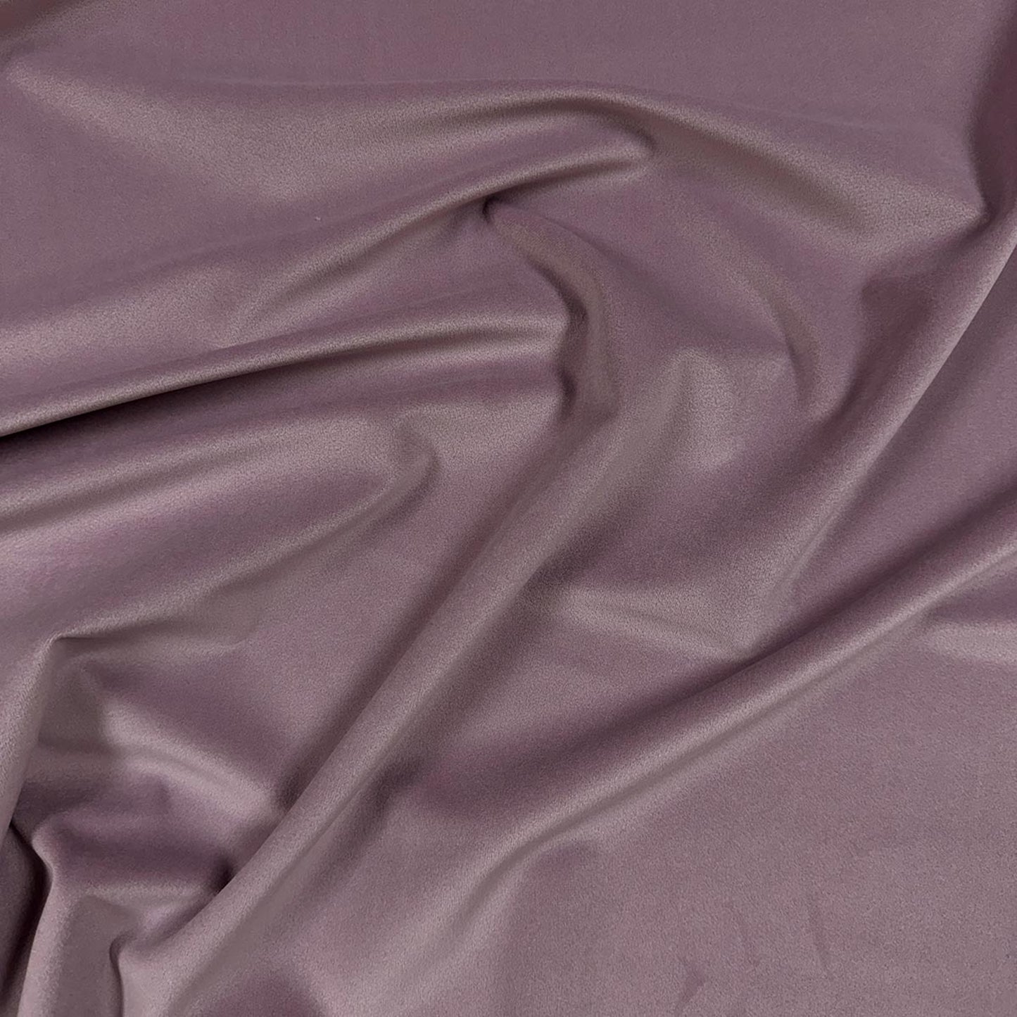 Vasto Lavender - Fabricforhome.com