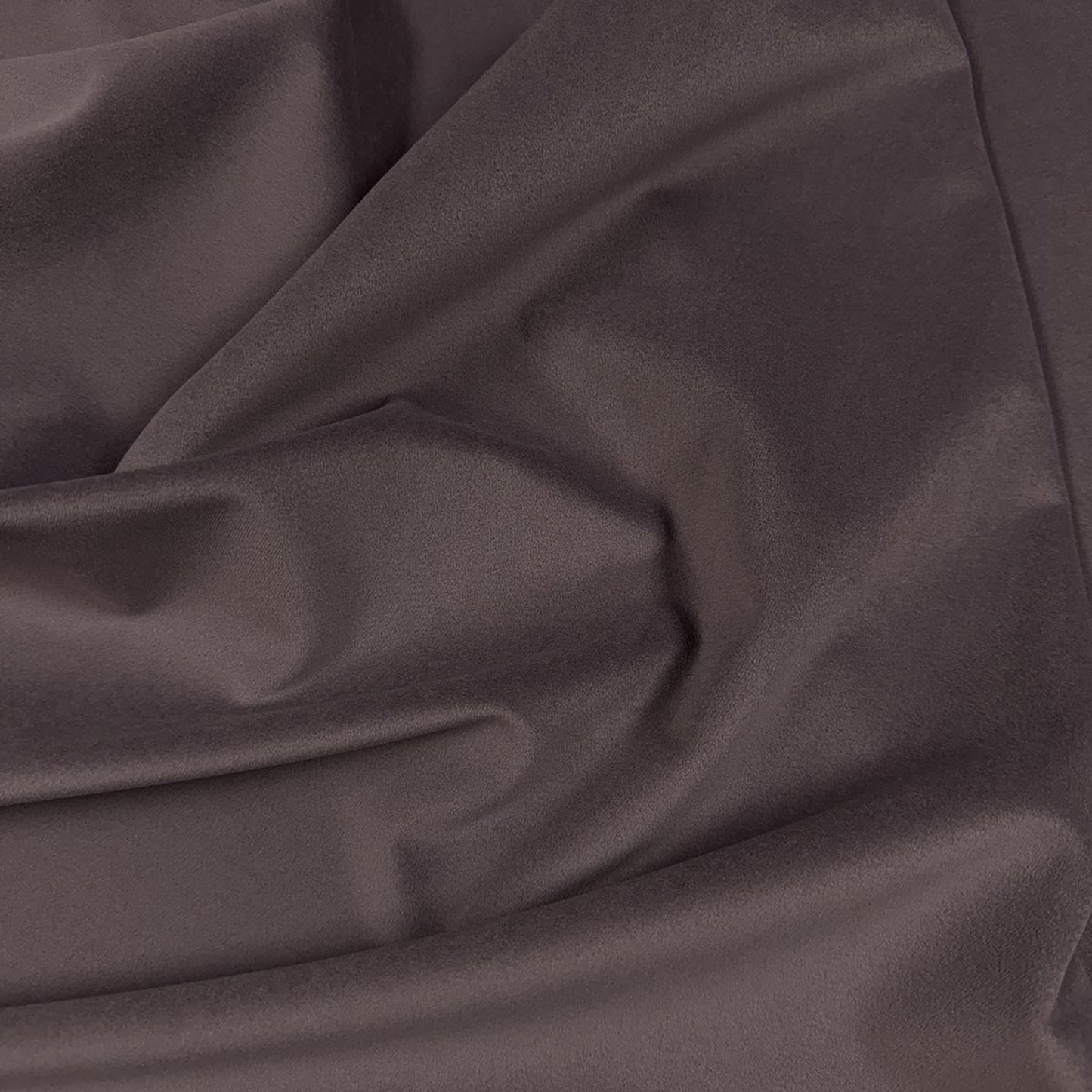 Vasto Orchid - Fabricforhome.com
