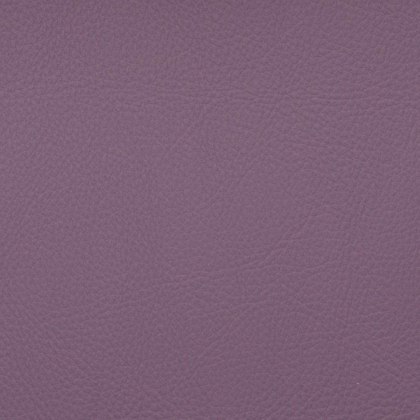 Voyager Allium - Fabricforhome.com