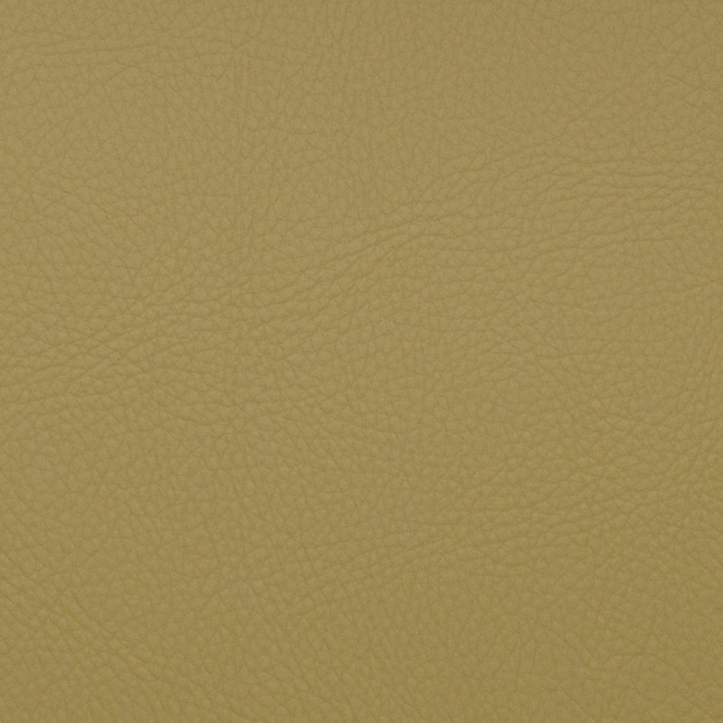 Voyager Aloe - Fabricforhome.com