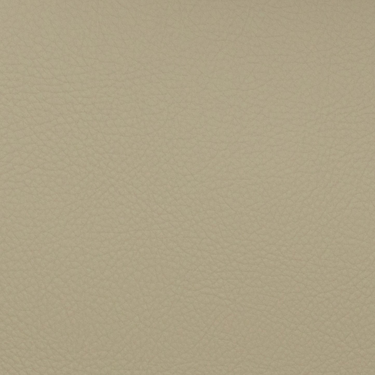 Voyager Mushroom - Fabricforhome.com