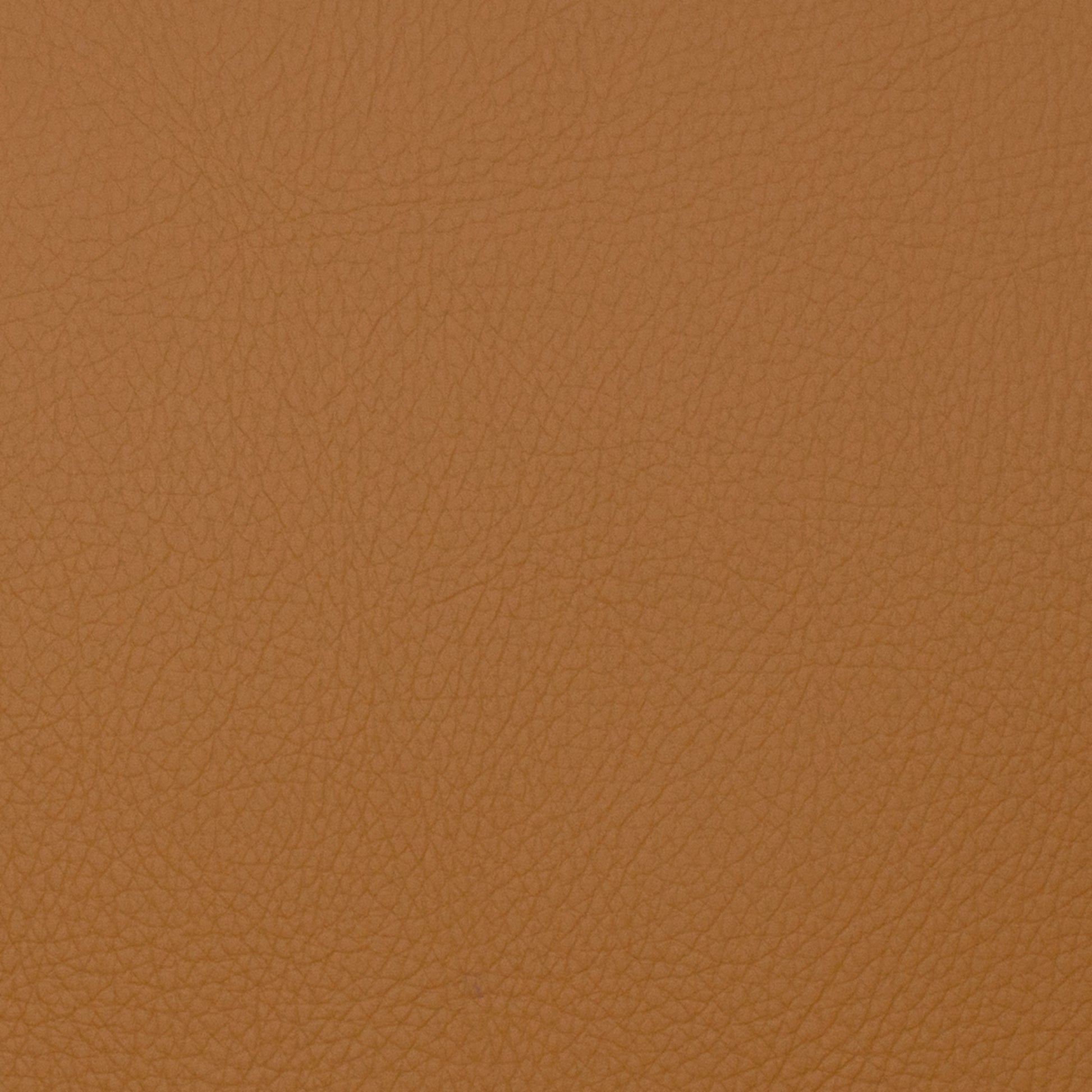 Voyager Toast - Fabricforhome.com