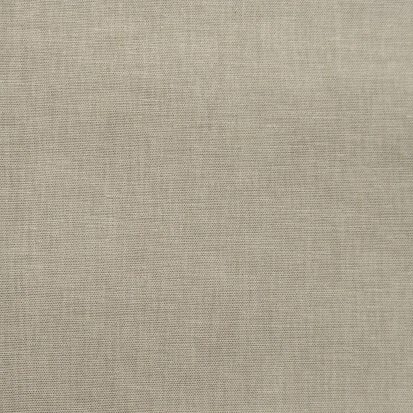 Wilkes Feather - Fabricforhome.com