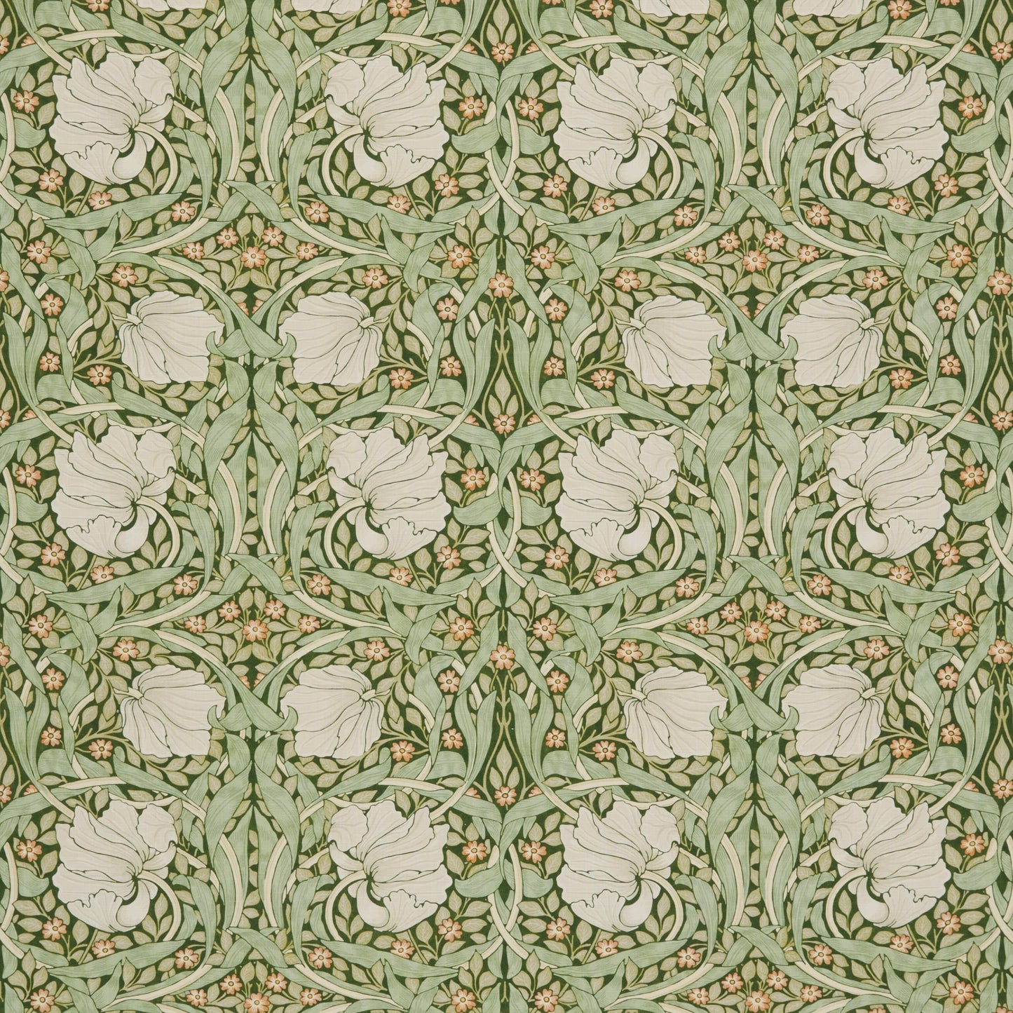 Pimpernel Dill - Fabricforhome.com