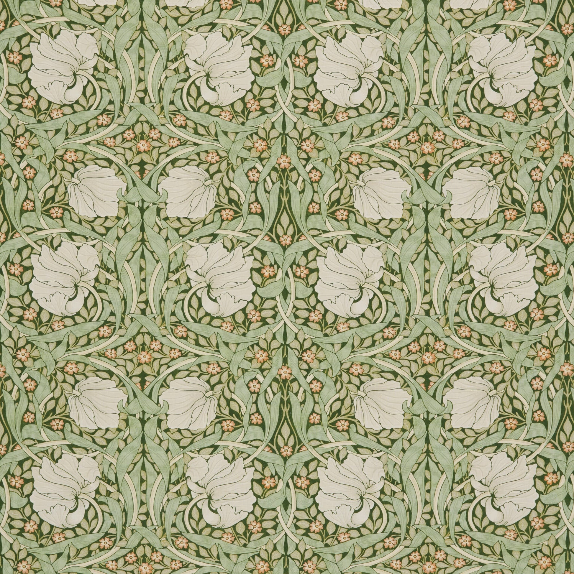 Pimpernel Dill - Fabricforhome.com